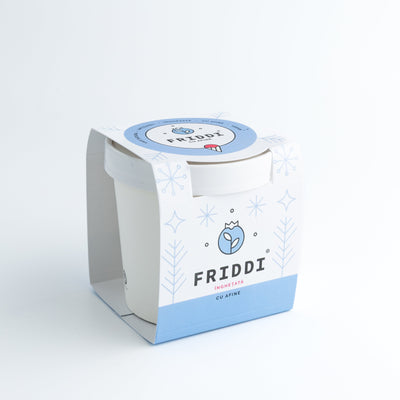 Afine pahar 250g | Sorbetto | Vegan