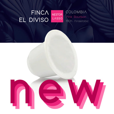 Capsule - Finca El Diviso, Columbia [Natural Anaerobic 180h] - pachet 10 capsule compatibile aparat Nespresso